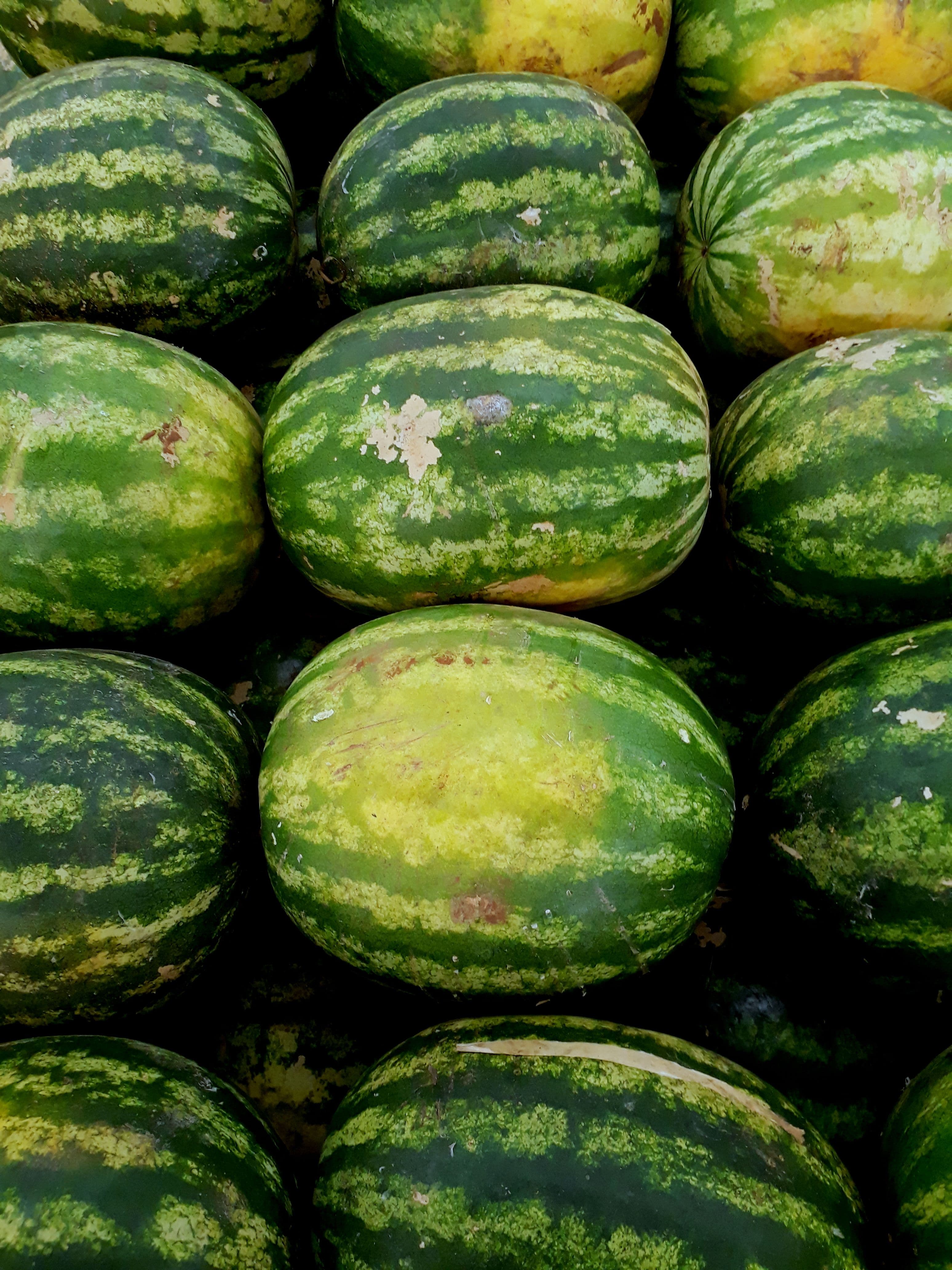 Image of Sweet Watermelon
