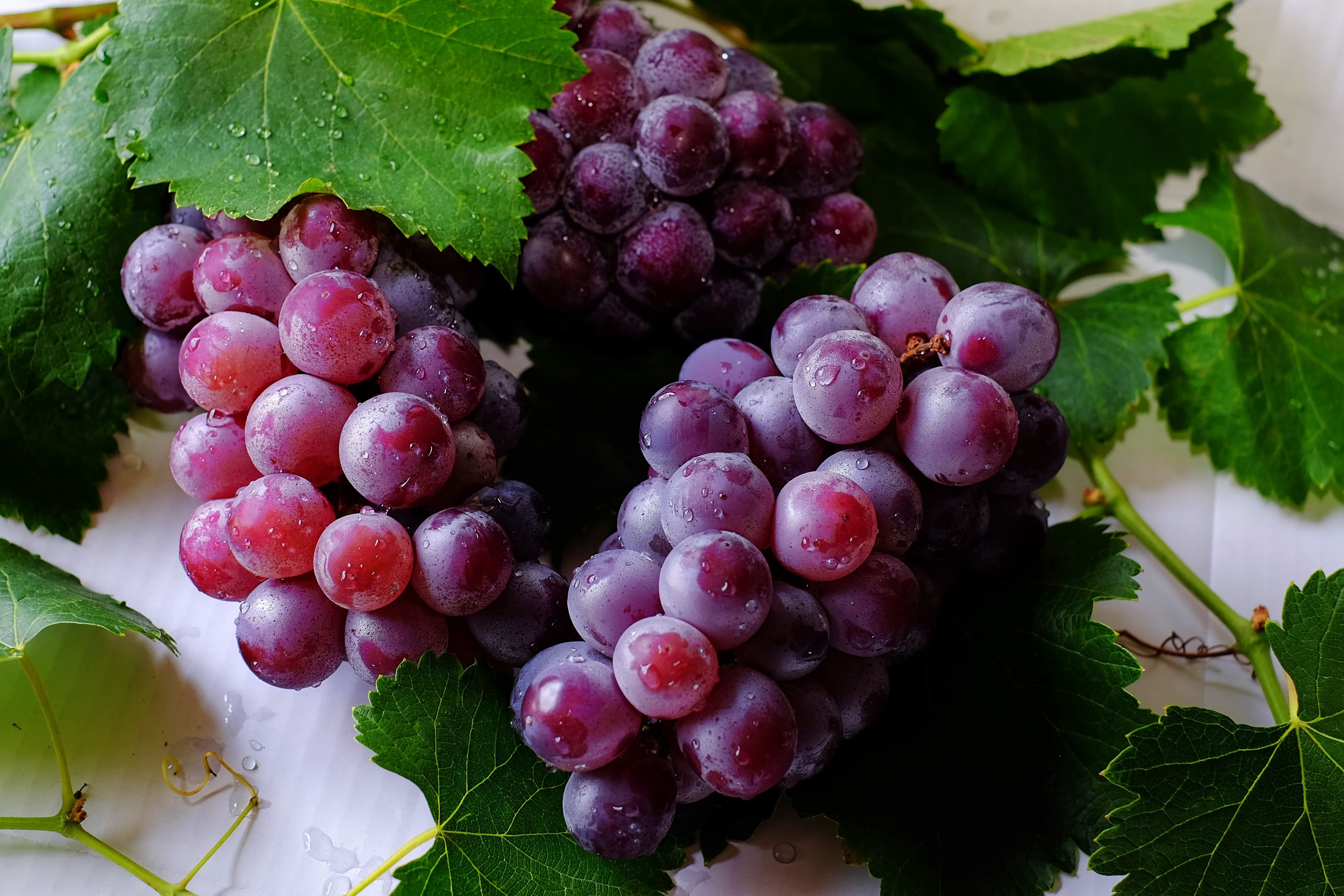 Image of Purple Grapes