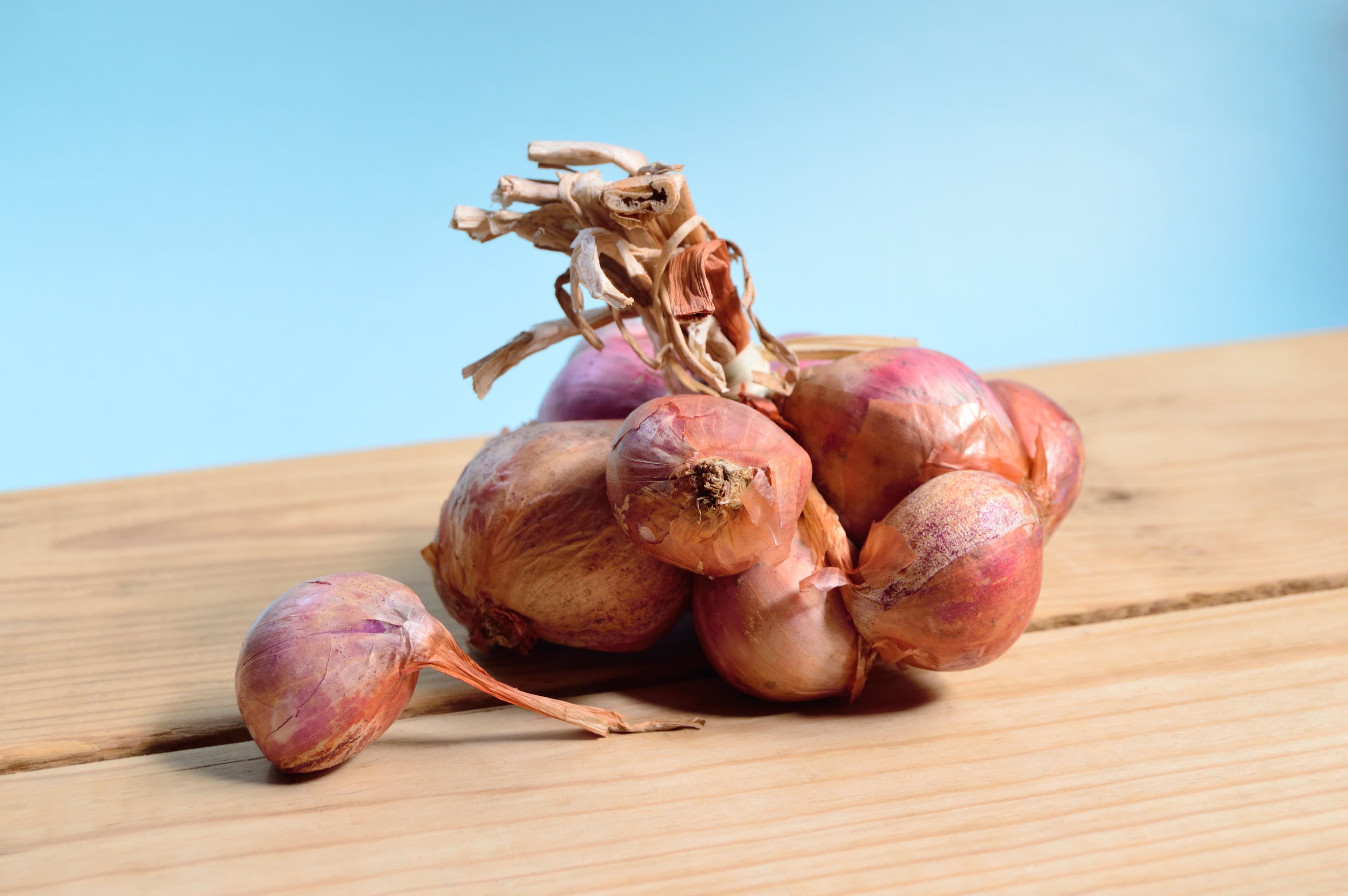 Image of Red Onion