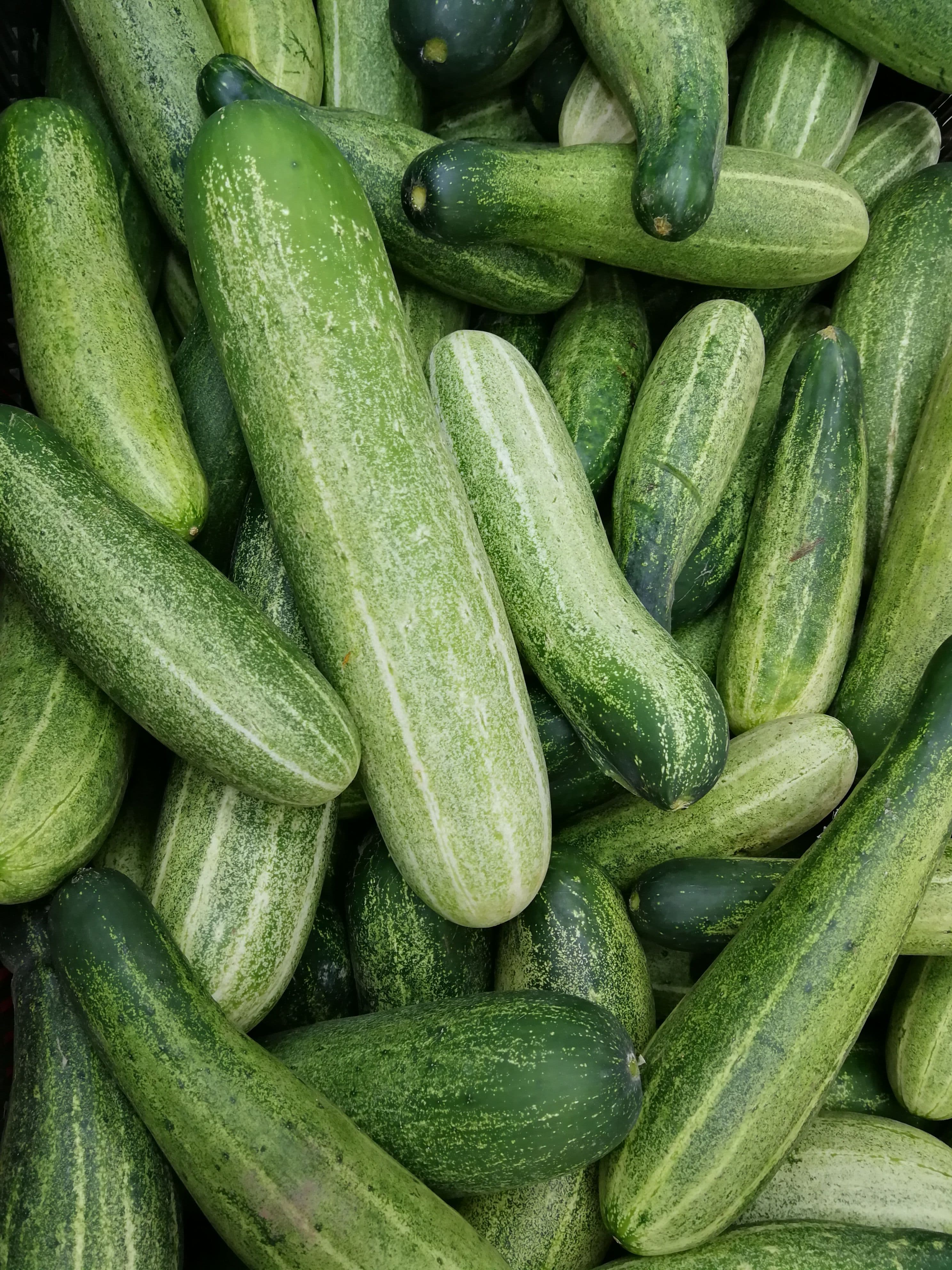 Image of English Cucumber