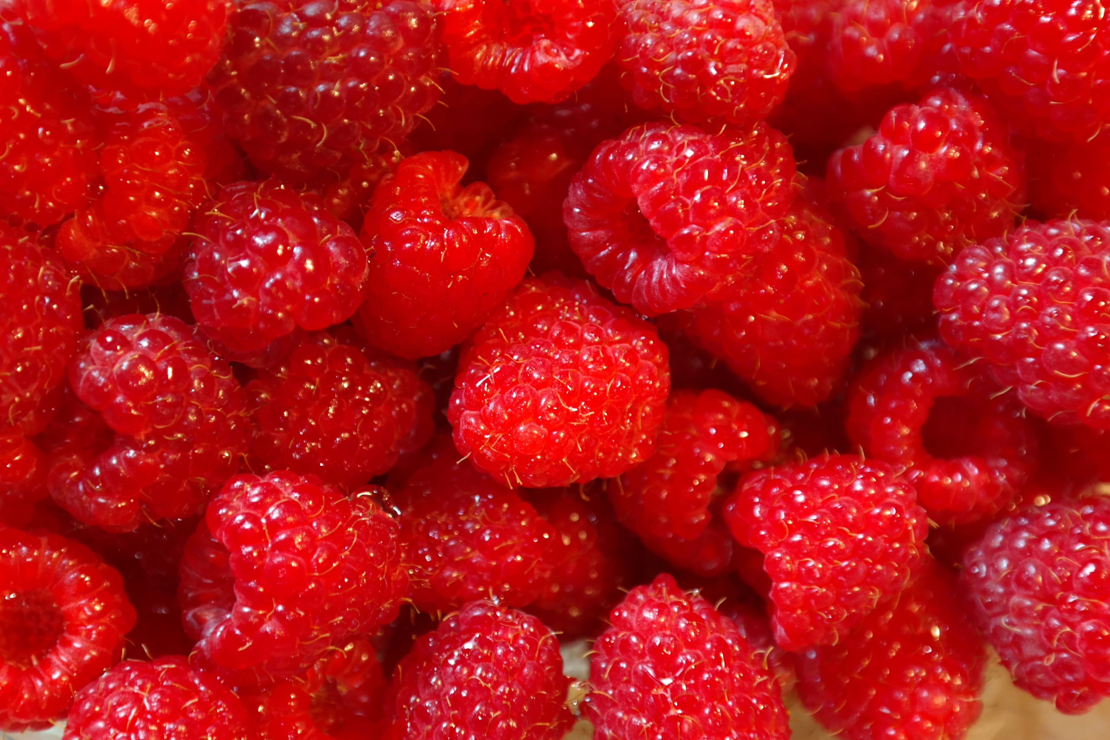 Image of Fresh Raspberries